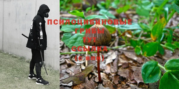 амф Алексин